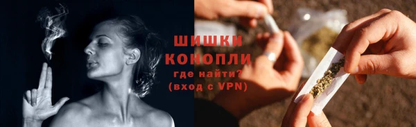 apvp Белокуриха