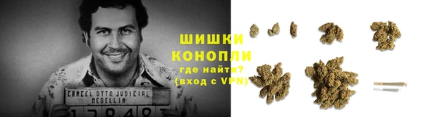 apvp Белокуриха