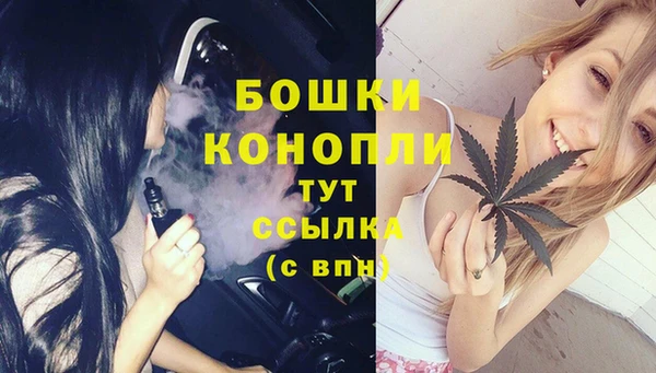 apvp Белокуриха