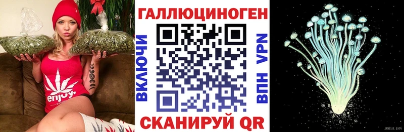 Псилоцибиновые грибы Psilocybe Свободный
