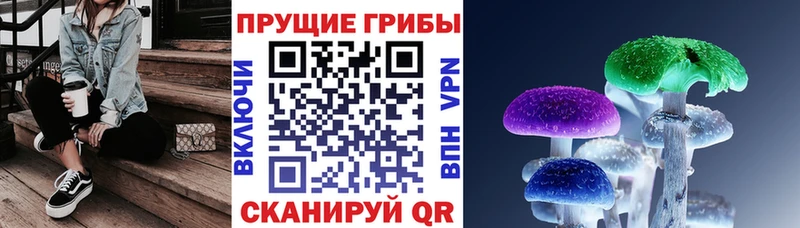 блэк спрут зеркало  Свободный  Псилоцибиновые грибы Cubensis 